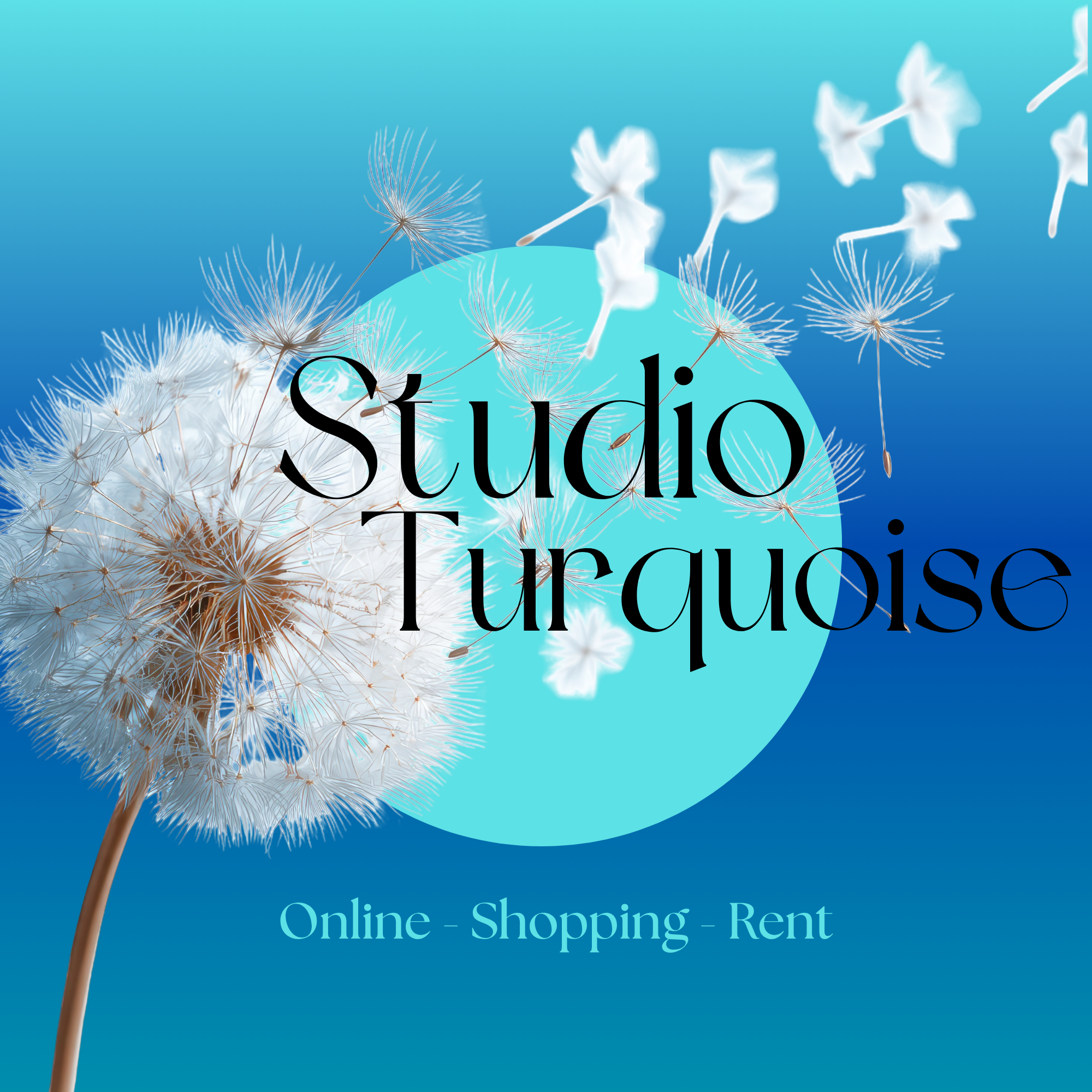 Studio Turquoise I websites I contentmanagement I VA