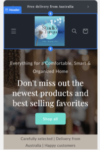 Studio Turquoise shop, e-commerce coaching